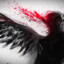 *[DaRk_AnGeL]*