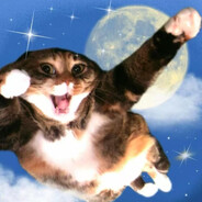 小猫往大爷碗里放蟑螂说是枣