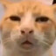g1