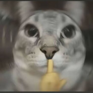 超级驼鹿