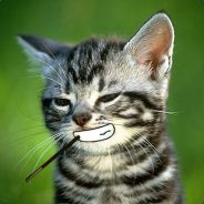 uhhhhhh put it in the pizza