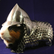 My Guinea Pig's avatar
