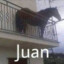 JUAN