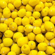 10000lemons