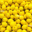 10000lemons
