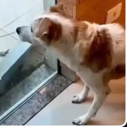 tore1tap - steam id 76561199860457087