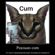 шлёпа
