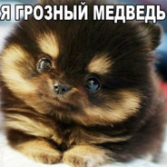 ГРОЗНЫЙ_МЕДВЕДЬ