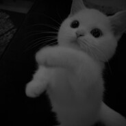 W1ND - steam id 76561198760695020