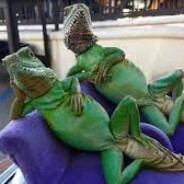 LizardMan