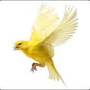 Canary