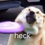 HeckinHeck