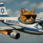 Meozadio Bombardido
