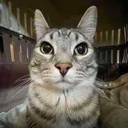 相邀呈尉韧，晚劝卜司壬