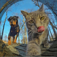 一小时跳五十次伞