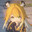procht's Avatar