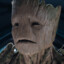 Groot-