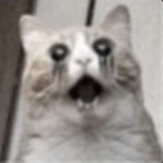 xqz