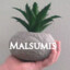 Malsumis