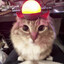 catec4ø1
