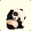 Pandalover1267