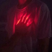 一只狸花压海棠