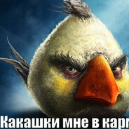 какашки мне в кар