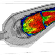 黑棘星的鮟鱇鱼