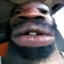 Justnat