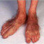 a pair of feet