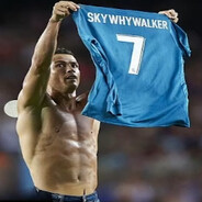 skywhywalker- - steam id 76561199176565869