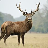 zabójcza łydka #ZaNarnie