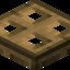 Minecraft Trapdoor TM