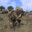 arma3sanke（China.）'s avatar