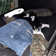 Faze Meow Meow