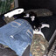 Faze Meow Meow