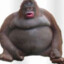 moonkeybutts72