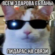 Vincent avatar