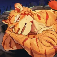 重生之我不是furry控