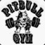 PITBULLGYM  &lt;3 upgrade.gg