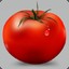 pomidor3
