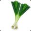 Leek