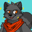 AshetheRaccoon