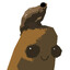 TheDigitalRonin avatar