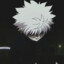 kimano
