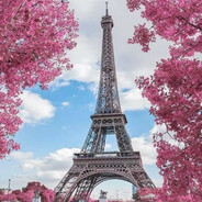 L̶1̶m̶a̶n̶_̶fort-_-