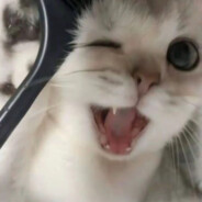 想变成你的氧气