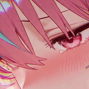 仙人掌的花开了