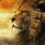 Lion Aslan