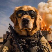 悍匪丨汤不利波